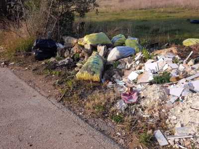 Lama Balice, il parco naturale diventato una discarica a cielo aperto